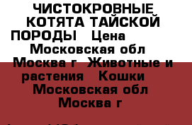 ЧИСТОКРОВНЫЕ КОТЯТА ТАЙСКОЙ ПОРОДЫ › Цена ­ 5 000 - Московская обл., Москва г. Животные и растения » Кошки   . Московская обл.,Москва г.